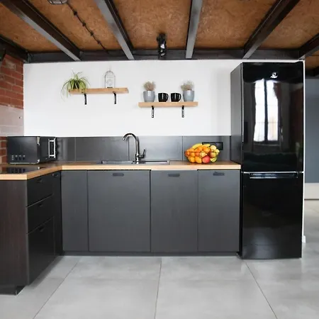 Apartmán Redcity Loft 303 Zyrardow