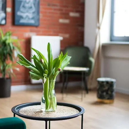 Redcity Loft 303 Apartament *