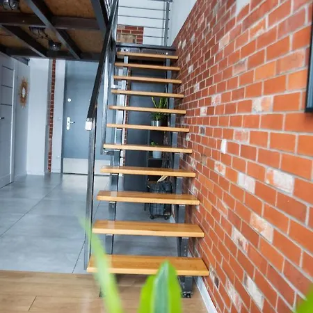 Redcity Loft 303 Apartmán Zyrardow