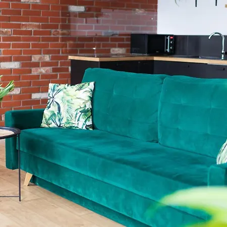 Redcity Loft 303 Apartmán Zyrardow